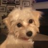 debra_matson